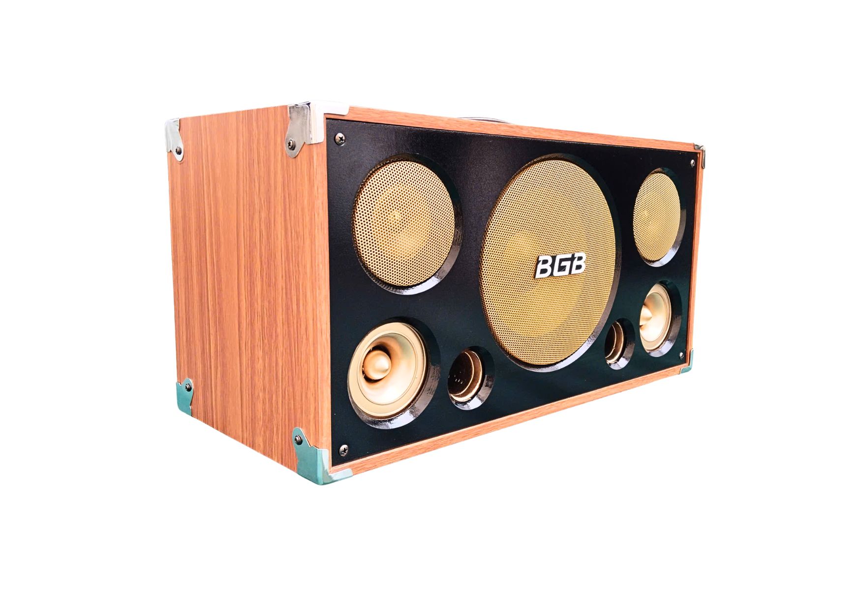 Loa Karaoke Xách Tay BG-209 EV Acoustic | Công Suất 200W | Bass 20cm