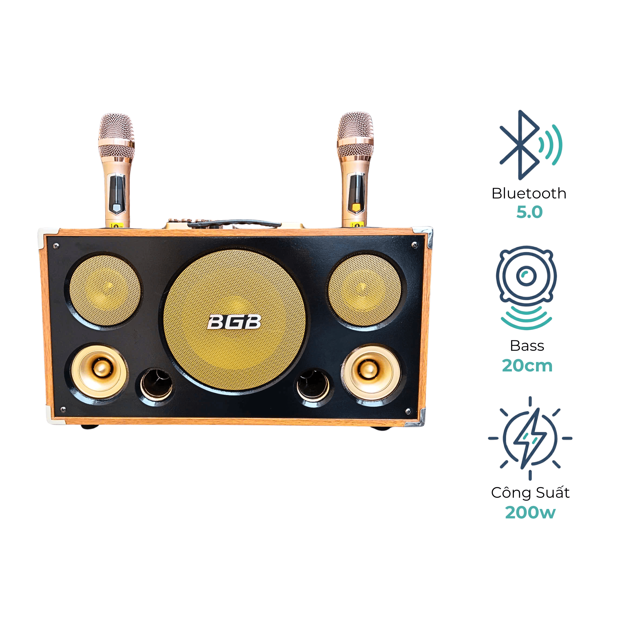 Loa Karaoke Xách Tay BG-209 EV Acoustic | Công Suất 200W | Bass 20cm