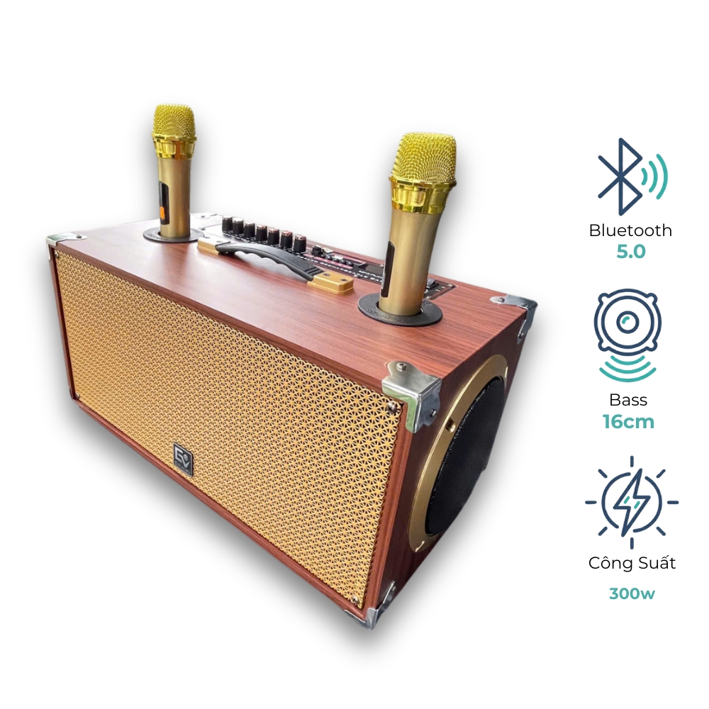 EV Acoustic | EV-268 | Loa Karaoke Xách Tay | 2 Bass 16 | Công Suất 300W