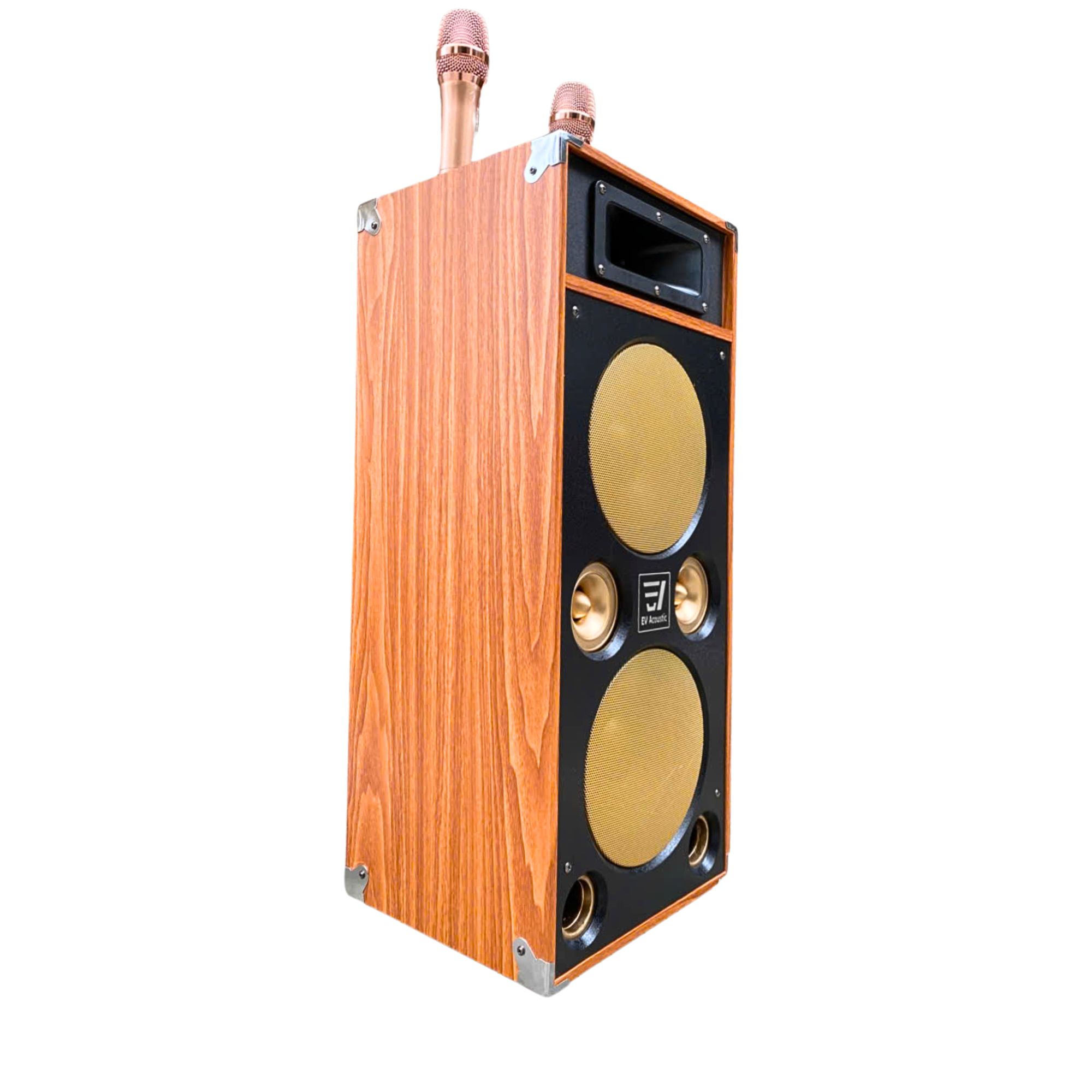 Loa Karaoke Xách Tay EV-289 | Công Suất 450W | 2 Bass 20Cm