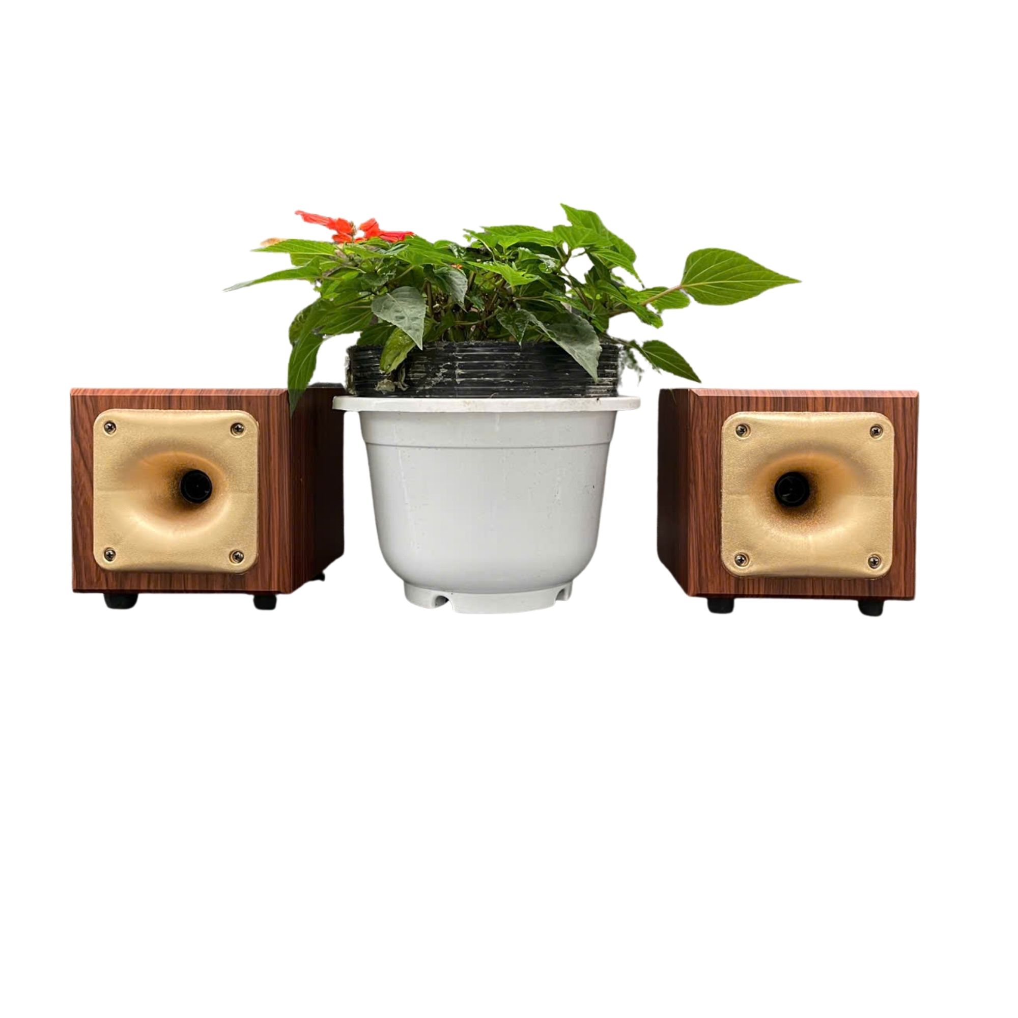 Cặp Loa Siêu Treble Kèn K13 EV Acoustic | Từ 80 Coil 250 | Công Suất 250W | Treble Rời Karaoke Sáng Rõ Cao Cấp