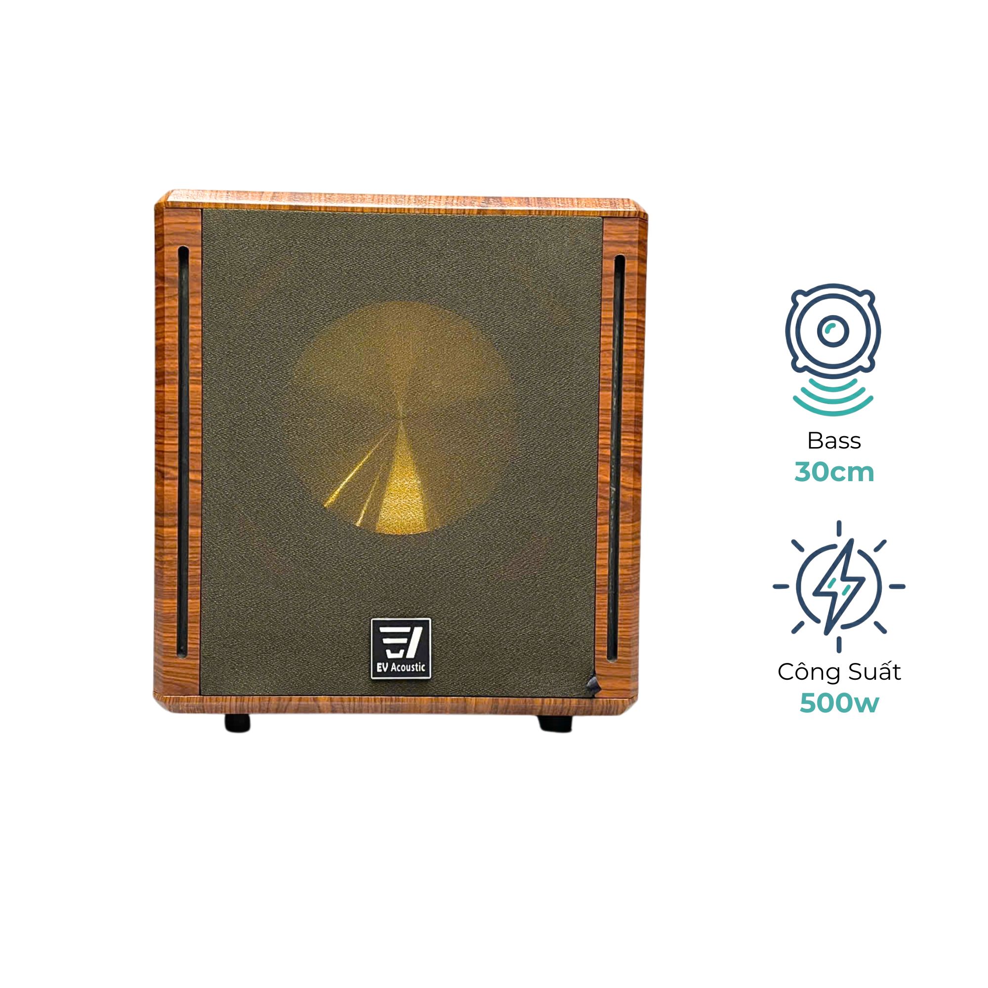 Loa Sub Điện EV Acoustic S62 Luxury Bass 30cm Công Suất 500W Âm Trầm Mạnh Cho Karaoke Gia Đình