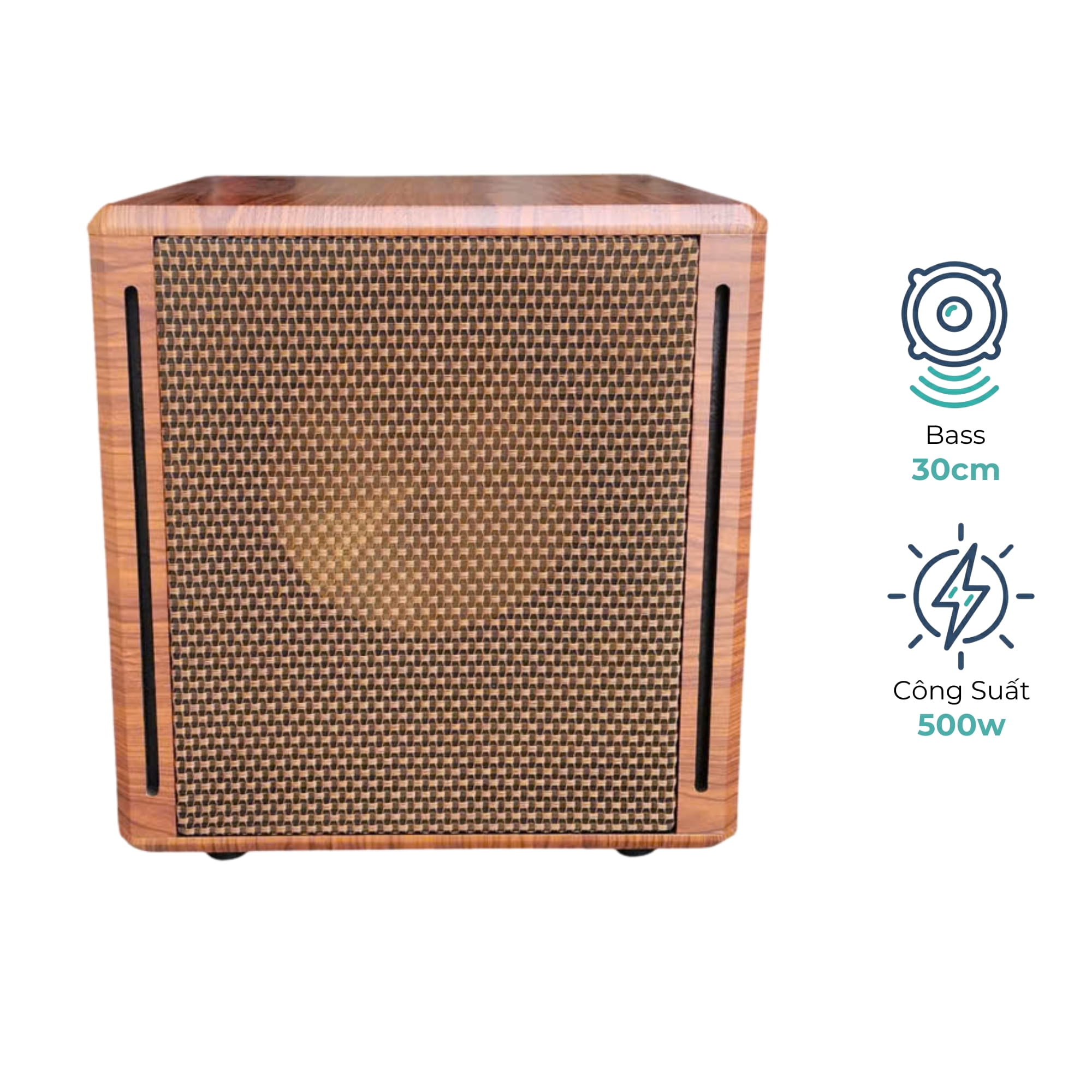 Loa Sub Điện EV Acoustic S62 Luxury Bass 30cm Công Suất 500W Âm Trầm Mạnh Cho Karaoke Gia Đình