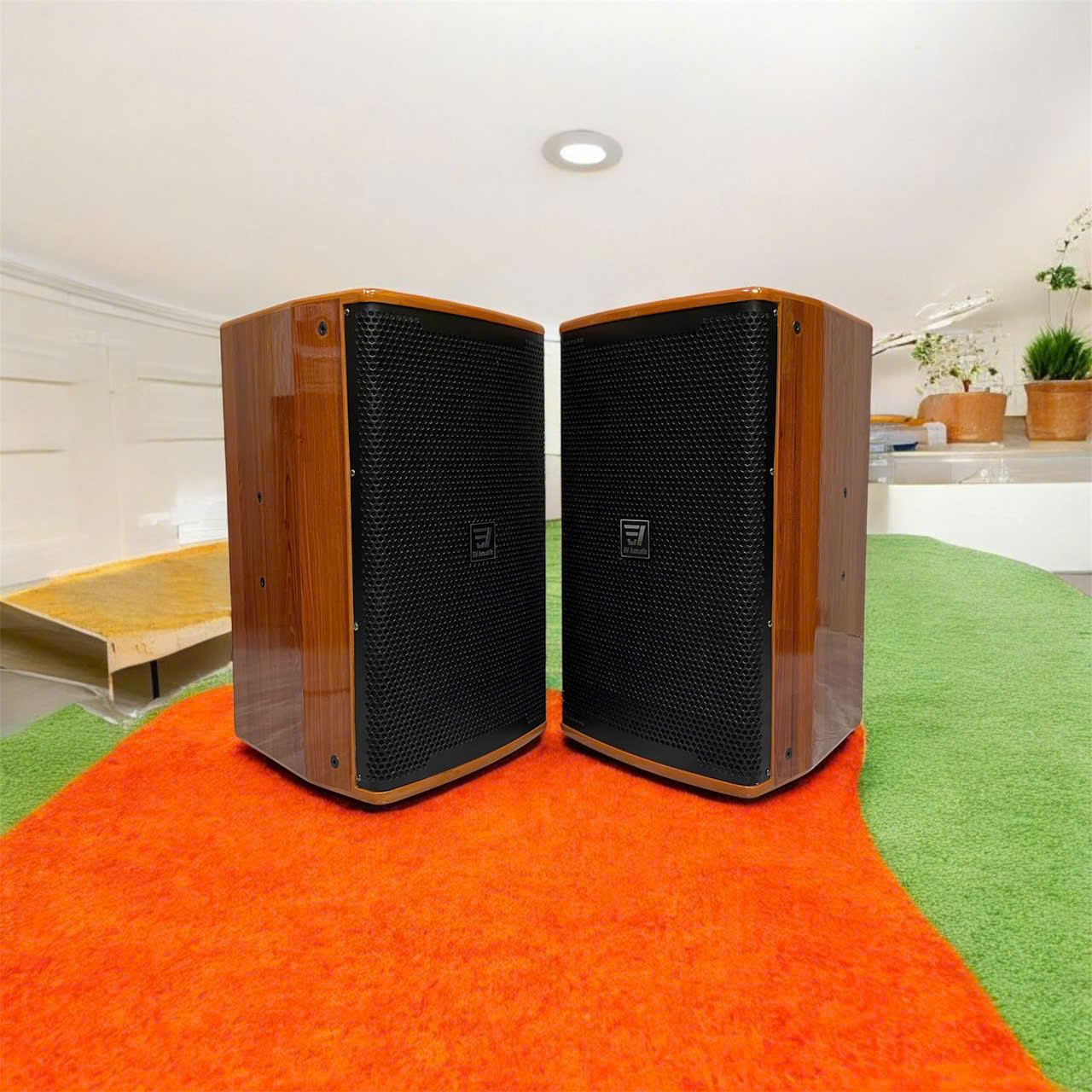 Loa Full EV ACOUSTIC P12S Bass 30cm – Công Suất 1200W, Thùng Gỗ Sơn Piano Cao Cấp, Âm Thanh Chuyên Nghiệp