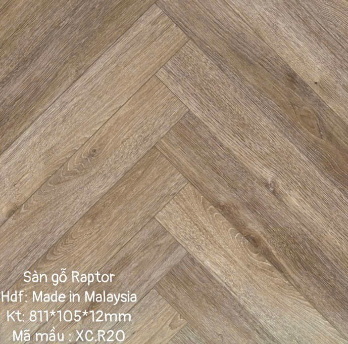 Sàn gỗ Raptor R20 cốt xanh xương cá 12mm