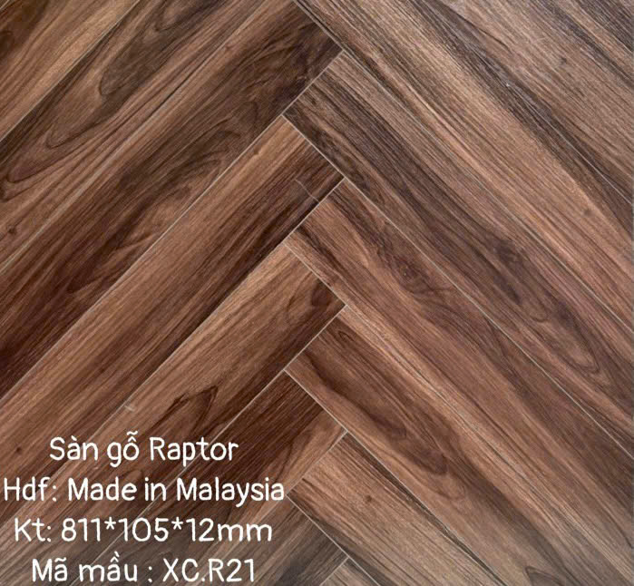 Sàn gỗ Raptor R21 cốt xanh xương cá 12mm