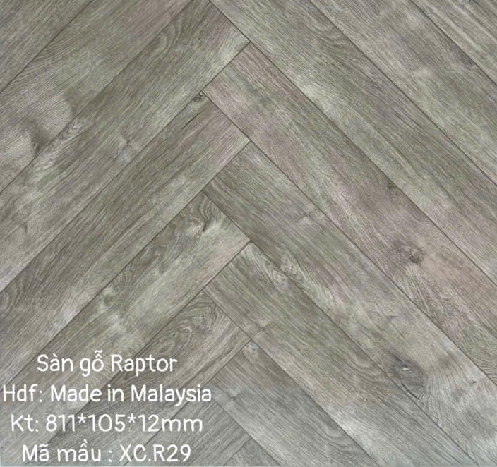 Sàn gỗ Raptor R29 cốt xanh xương cá 12mm