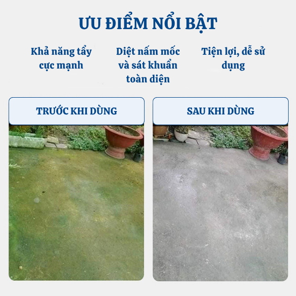 Bột Tẩy Rong Rêu Power Chlorine – Giải pháp làm sạch rong rêu, nấm mốc chuyên dụng