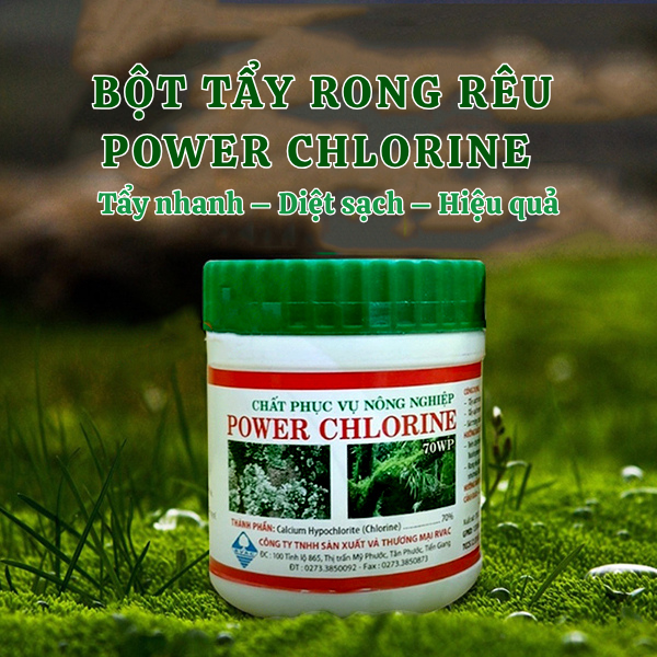 Bột Tẩy Rong Rêu Power Chlorine – Giải pháp làm sạch rong rêu, nấm mốc chuyên dụng
