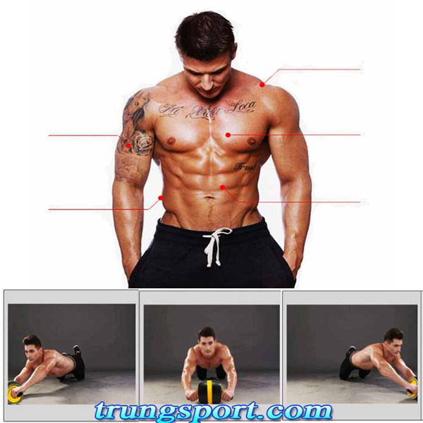 Con Lăn Tập Bụng Tự Lùi Carver Pro – Dụng Cụ Tập Gym Giảm Mỡ Bụng Tại Nhà Hiệu Quả