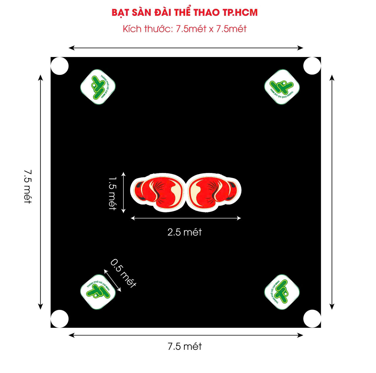 THẢM RING SÀN ĐÀI BOXING SÀN MUAY MMA