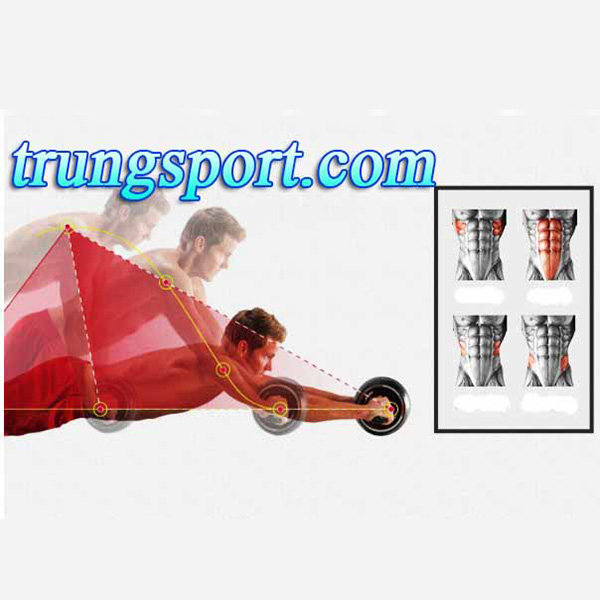 Con Lăn Tập Bụng Tự Lùi Carver Pro – Dụng Cụ Tập Gym Giảm Mỡ Bụng Tại Nhà Hiệu Quả