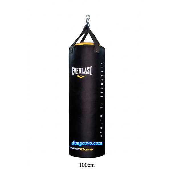 Bao Cát Treo Everlast Chính Hãng | Bao Cát Boxing Chuyên Nghiệp