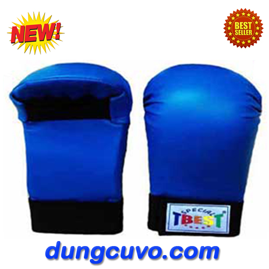 GĂNG TAY KARATE TBEST