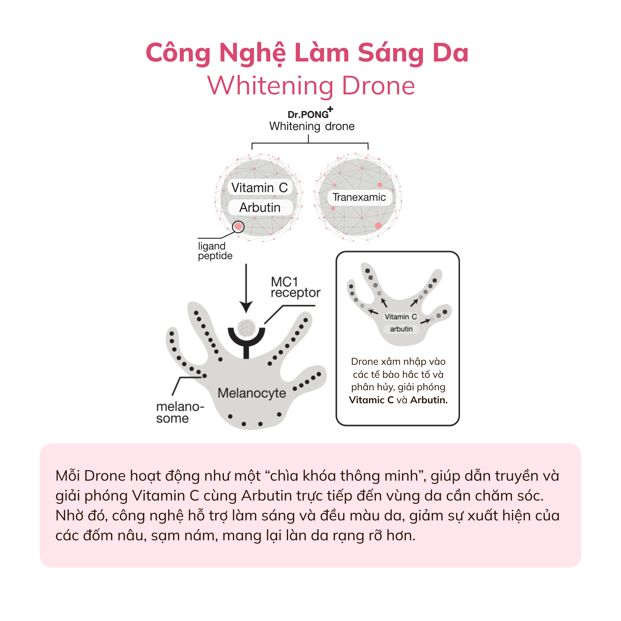 Serum giảm nám, tàn nhang Dr.PONG MC1 Whitening Drone Melas Clear 16ml