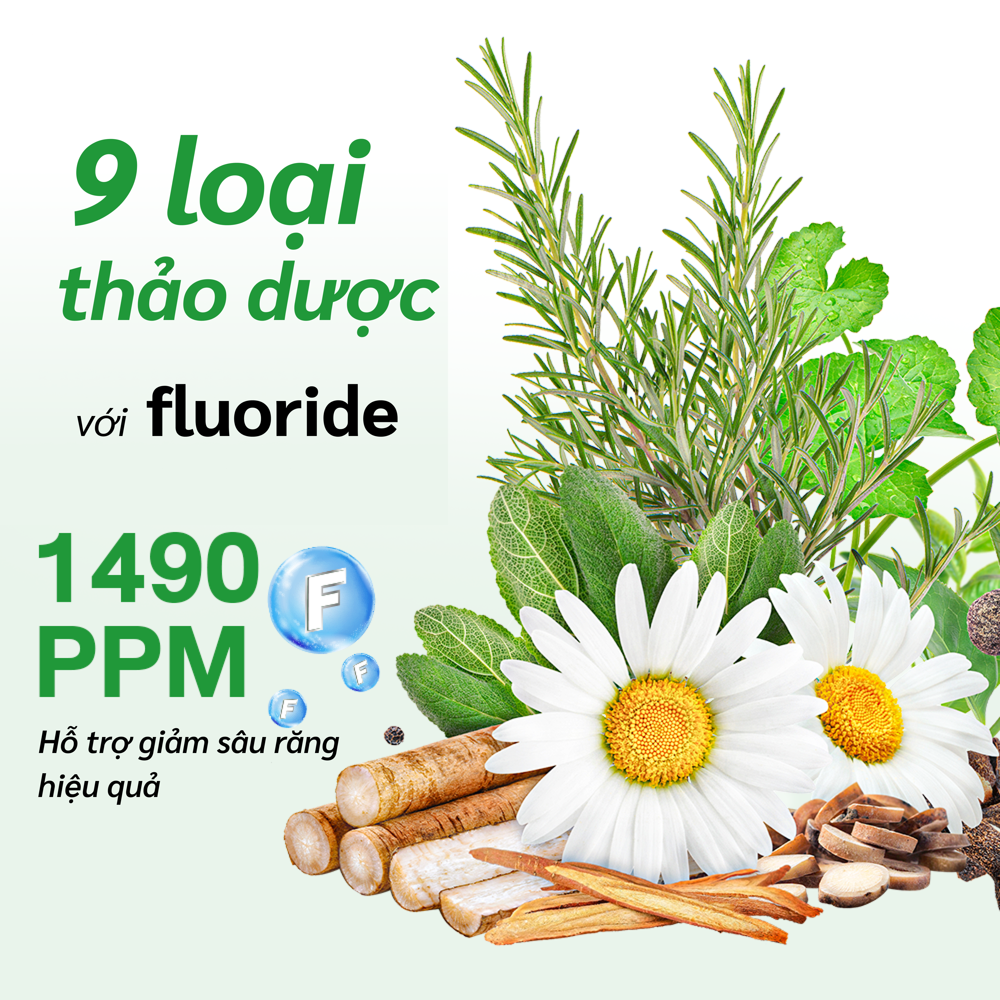 Kem đánh răng 9 loại thảo dược hỗ trợ  giảm mùi hôi miệng giúp răng trắng khỏe Dr.PONG 9x Herbal Plus Fluoride Toothpast