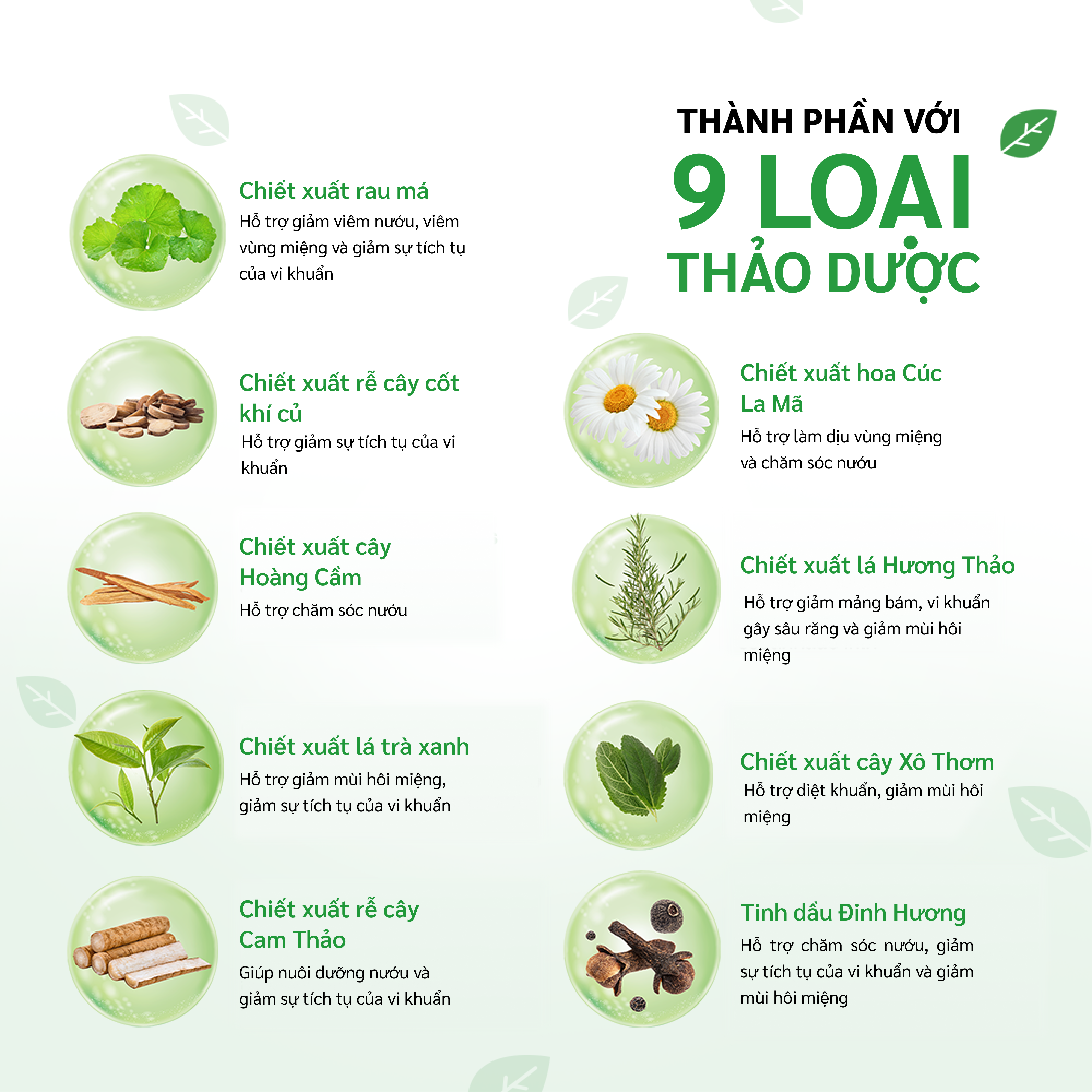 Kem đánh răng 9 loại thảo dược hỗ trợ  giảm mùi hôi miệng giúp răng trắng khỏe Dr.PONG 9x Herbal Plus Fluoride Toothpast