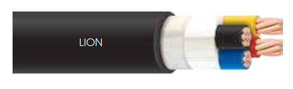Dây cap điện lực hạ thế CVV Lion 2x4