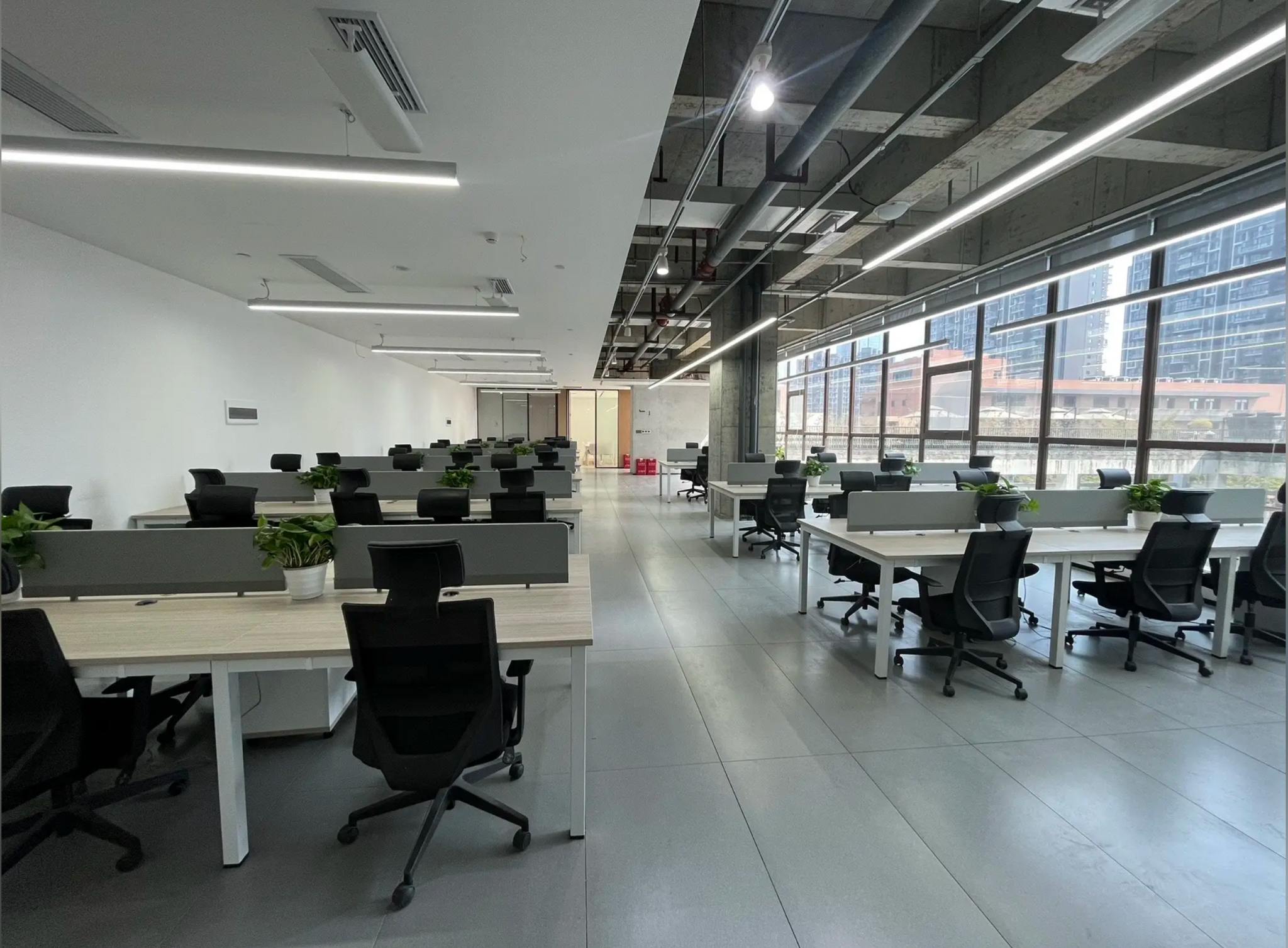 Hình ảnh bài viết