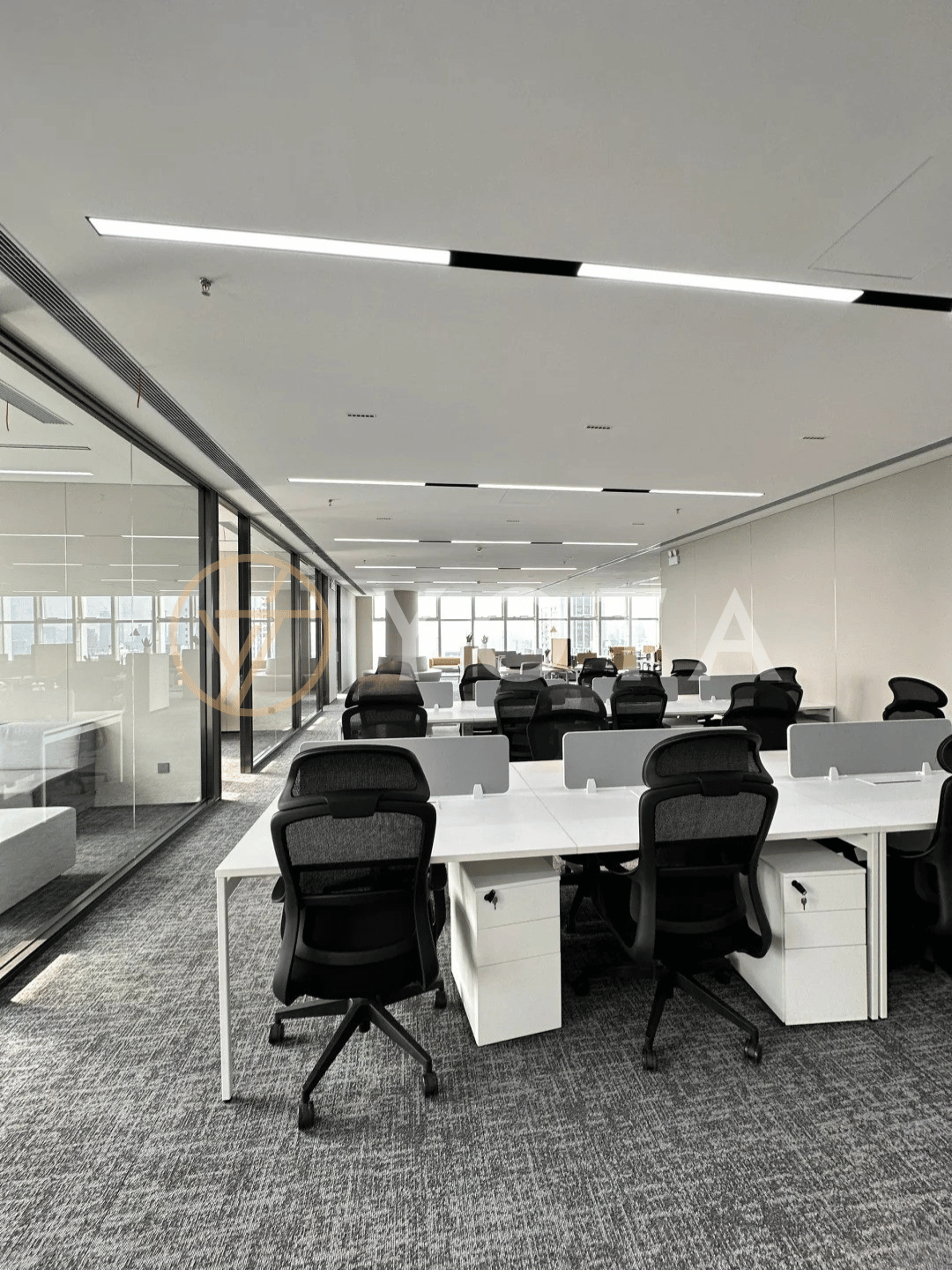 Hình ảnh bài viết