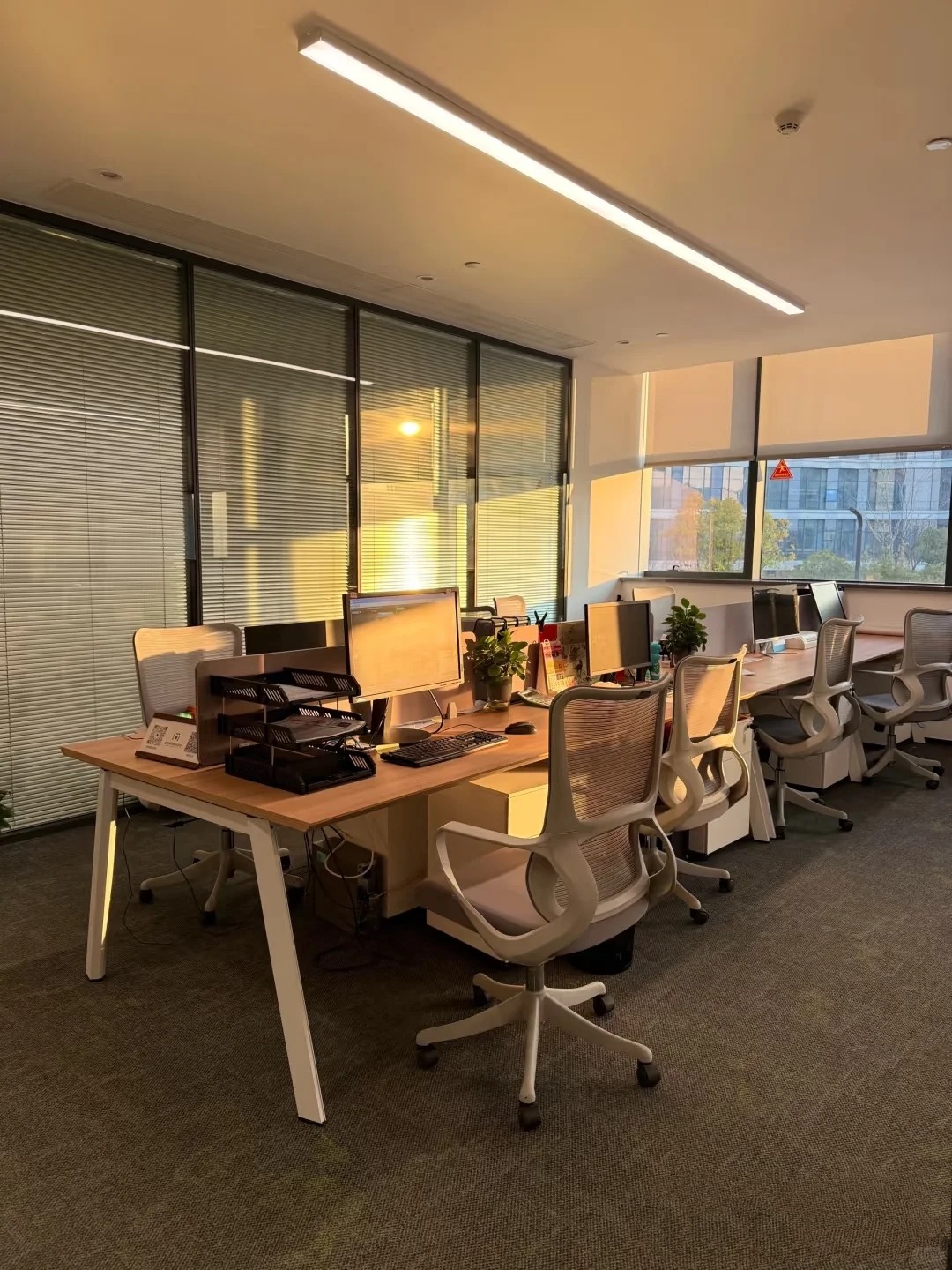 Hình ảnh bài viết