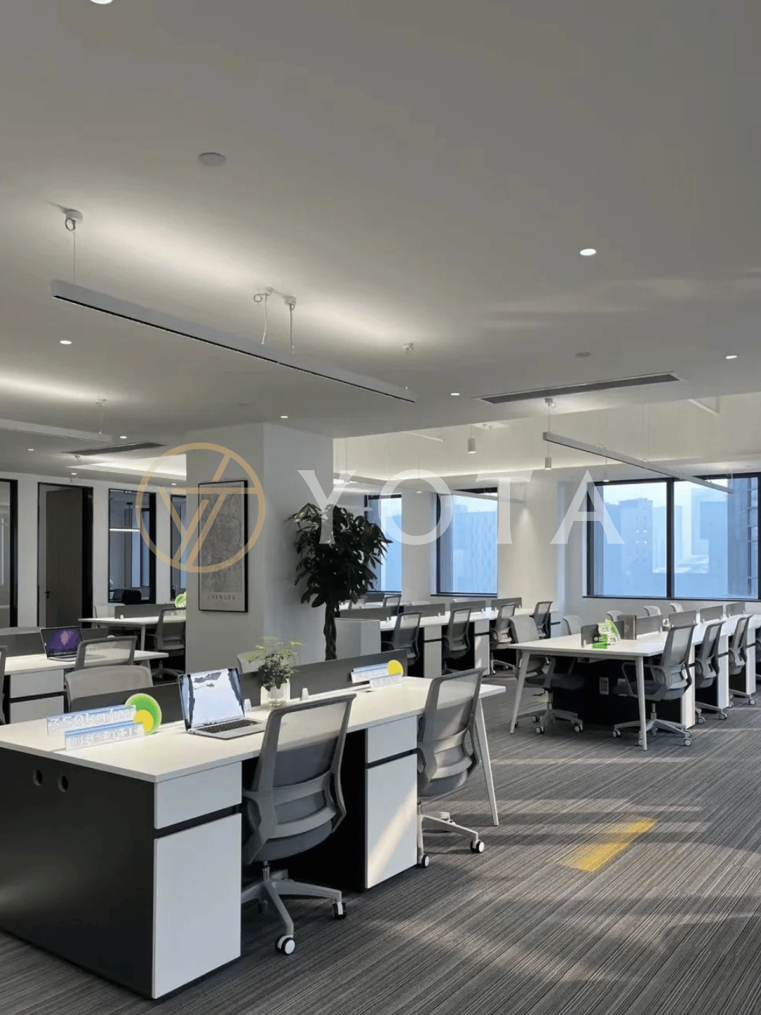 Hình ảnh bài viết