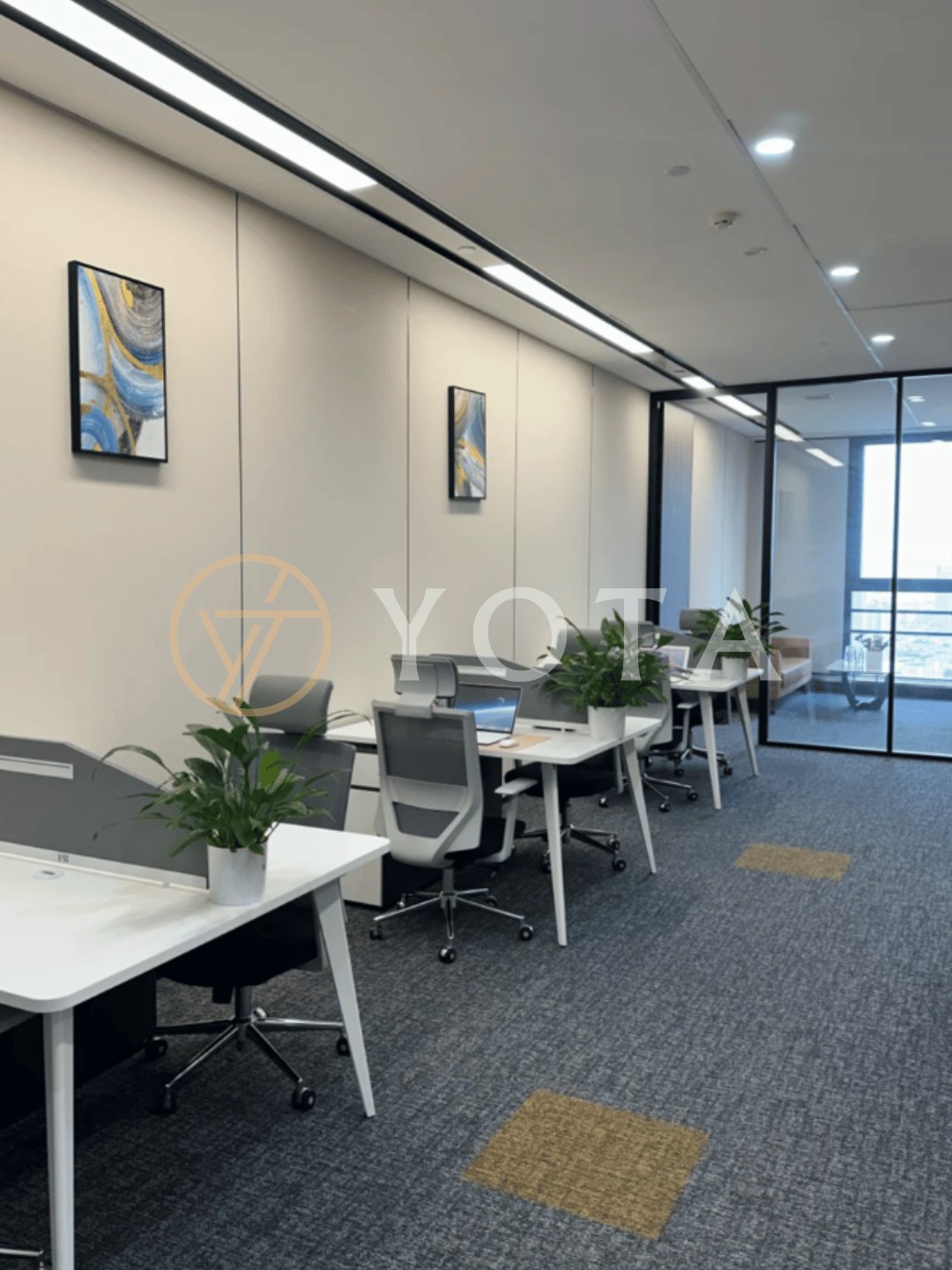 Hình ảnh bài viết