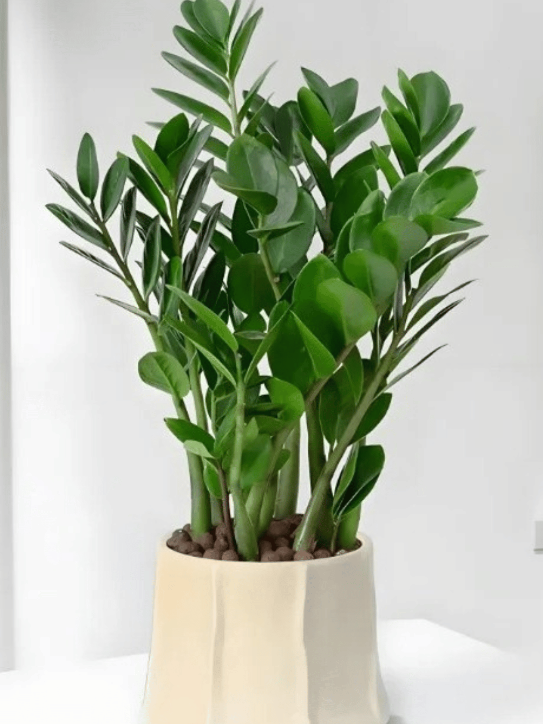 Hình ảnh bài viết