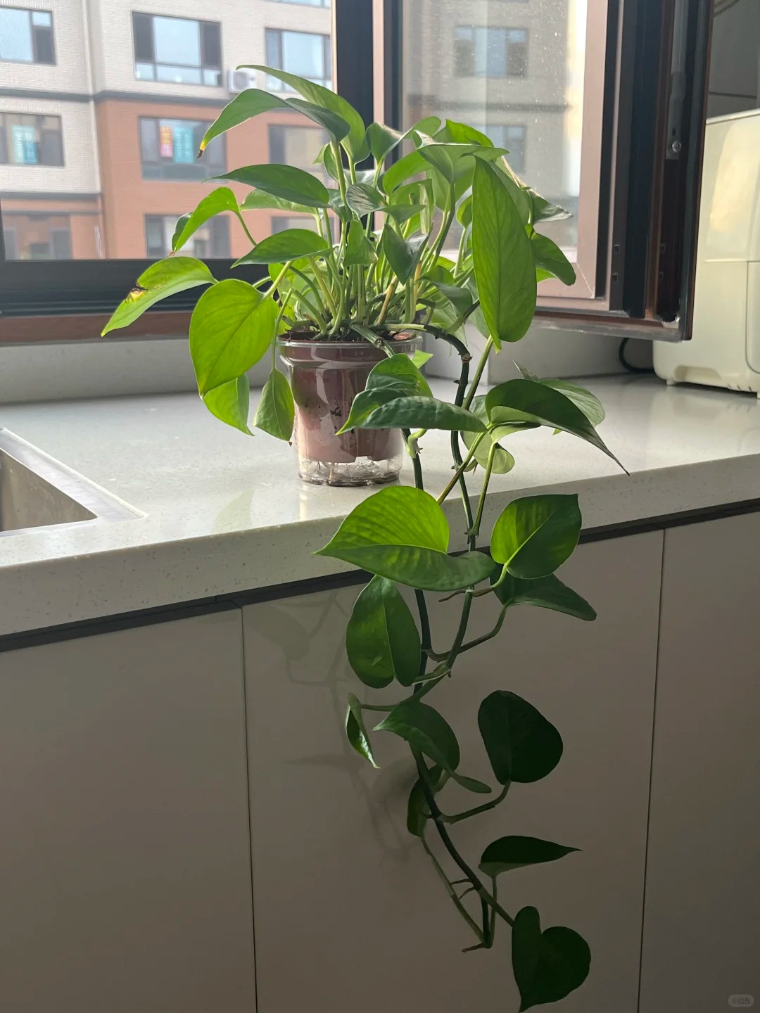 Hình ảnh bài viết