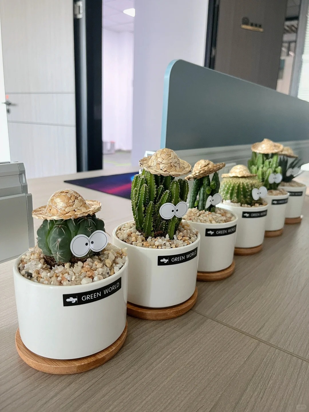 Hình ảnh bài viết