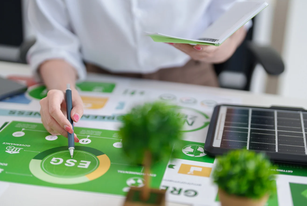 Hình ảnh bài viết