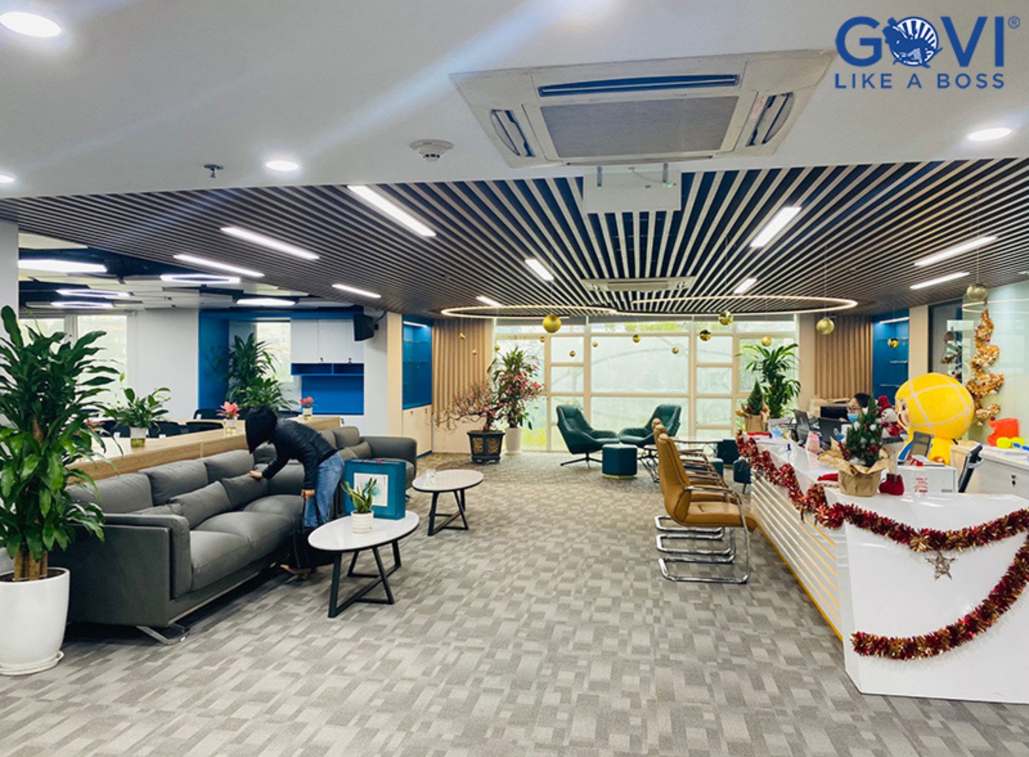 Hình ảnh bài viết