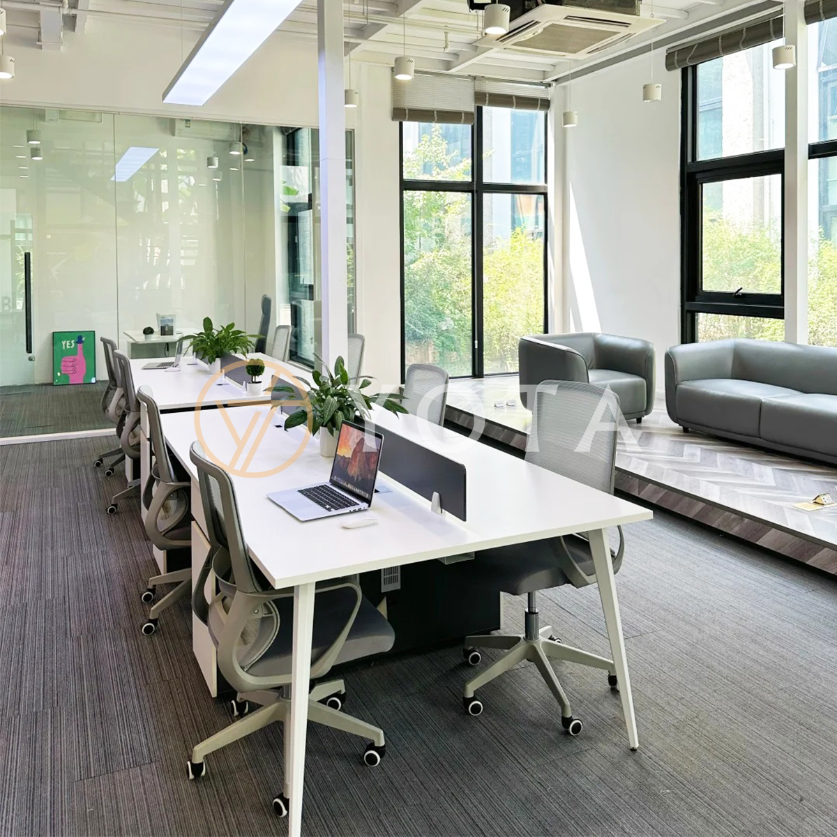 Hình ảnh bài viết