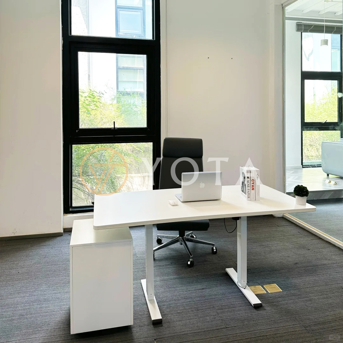 Hình ảnh bài viết