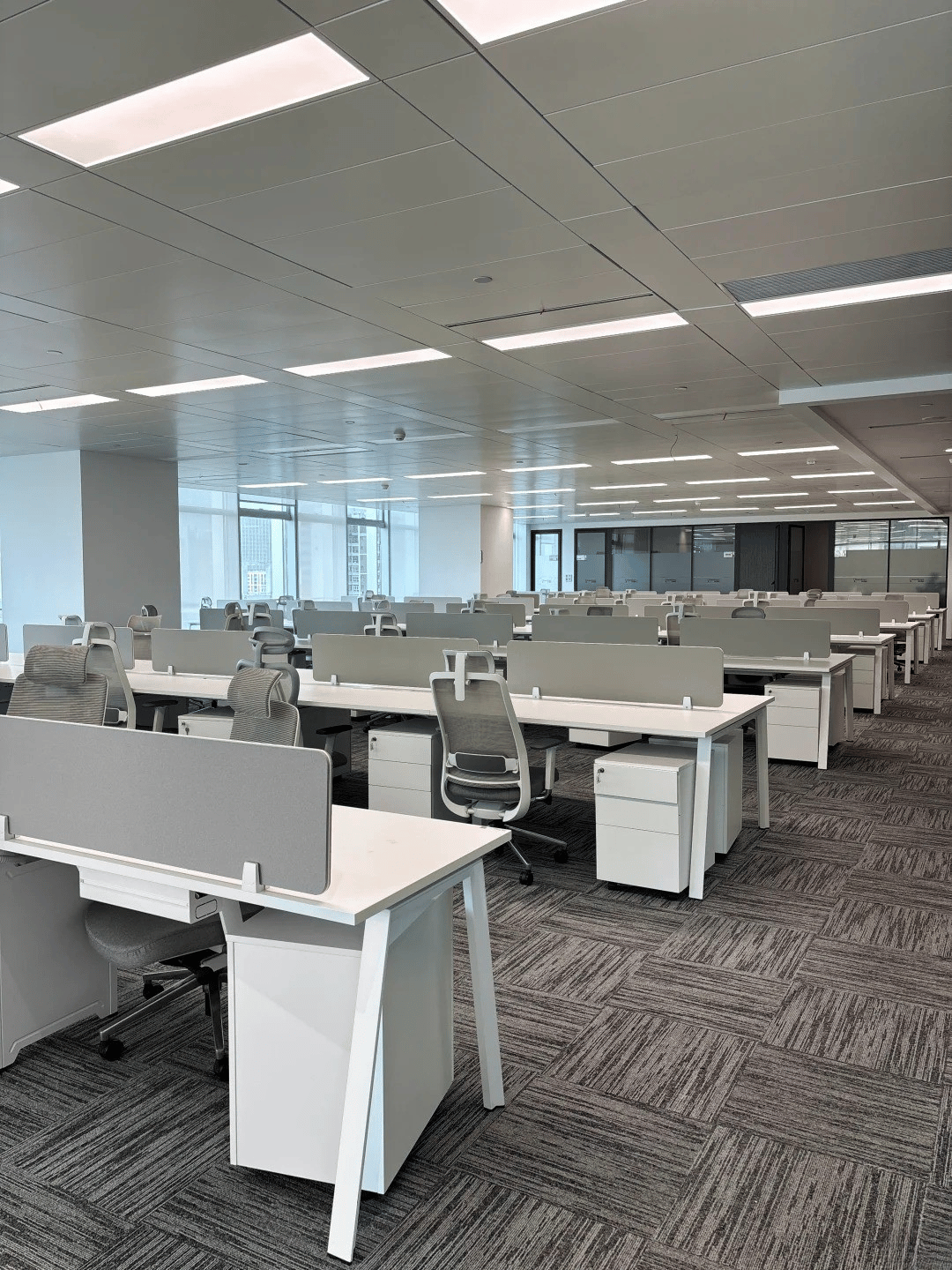 Hình ảnh bài viết