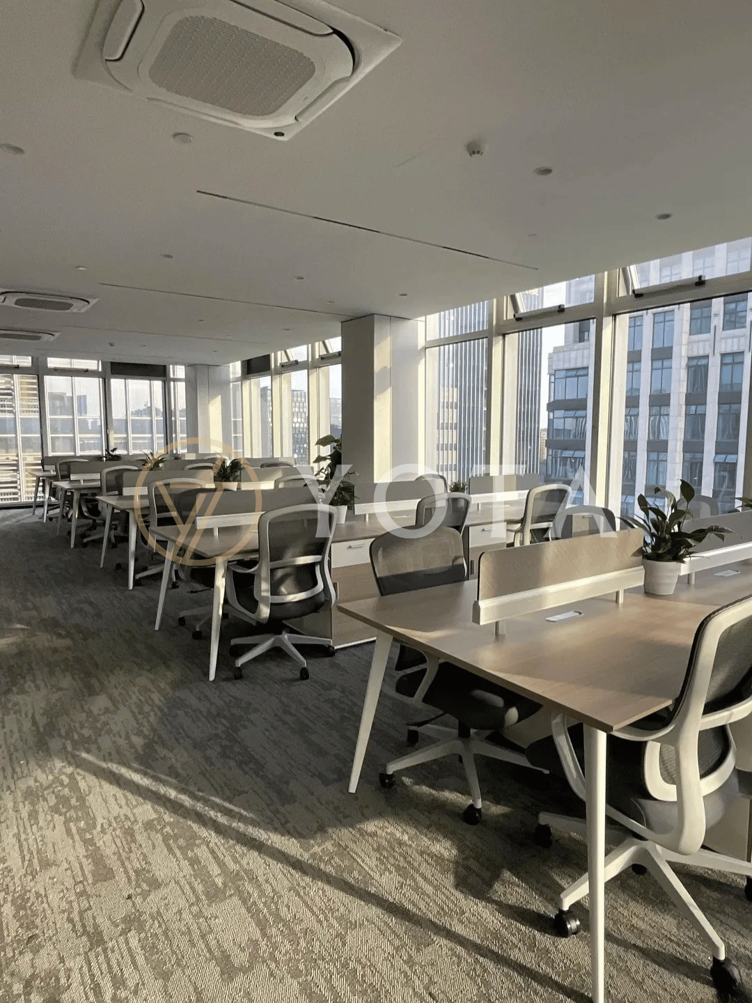 Hình ảnh bài viết