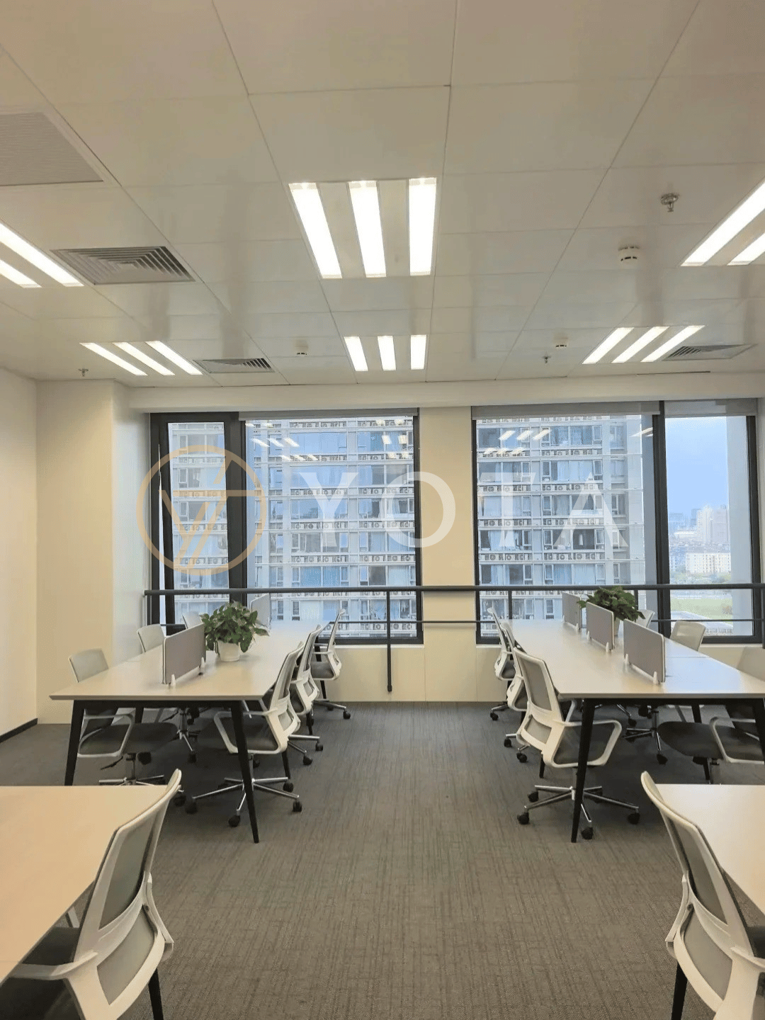 Hình ảnh bài viết