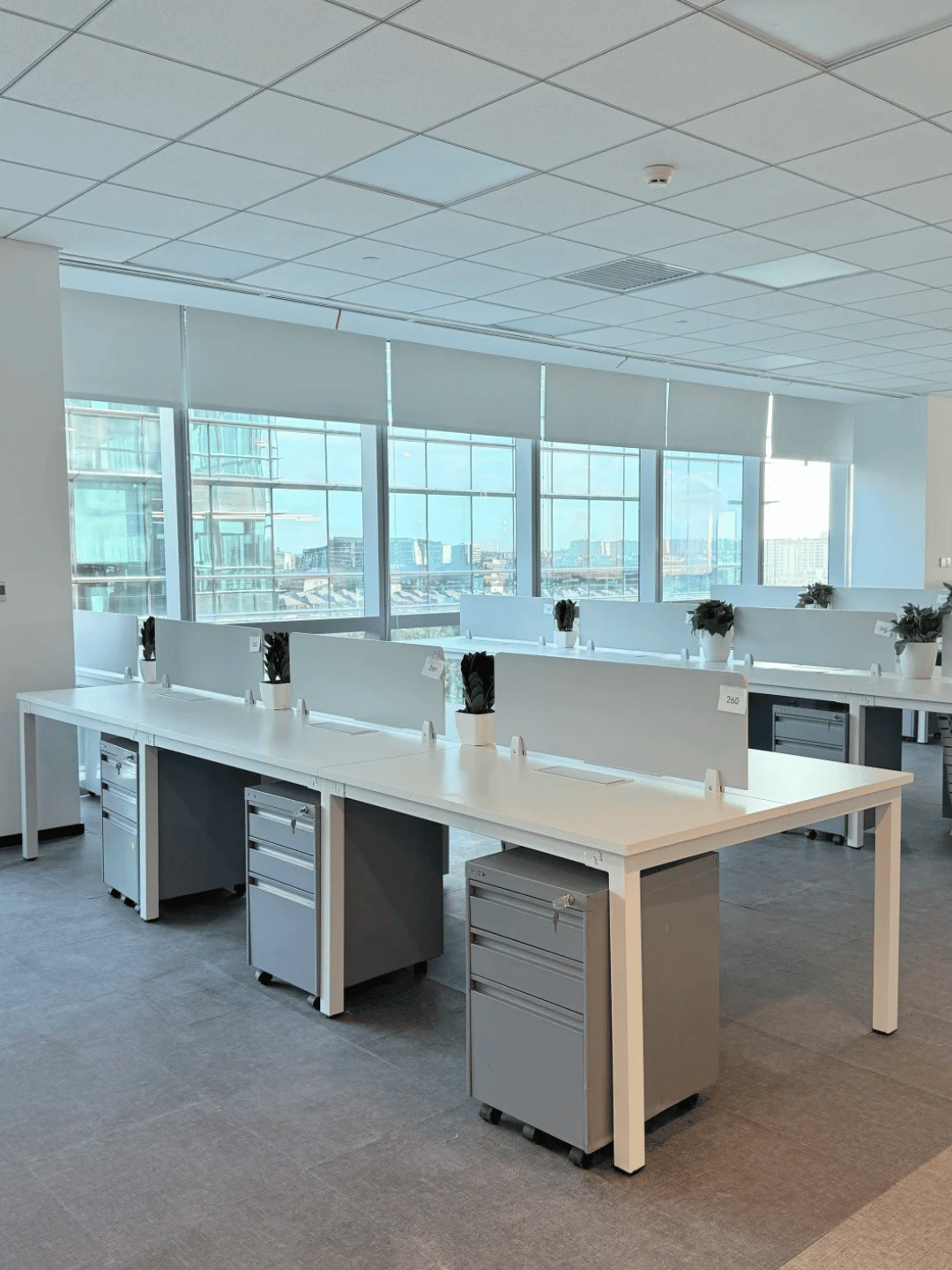 Hình ảnh bài viết