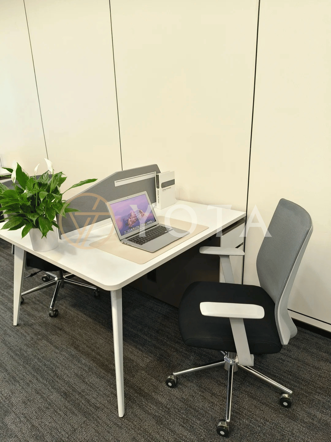 Hình ảnh bài viết