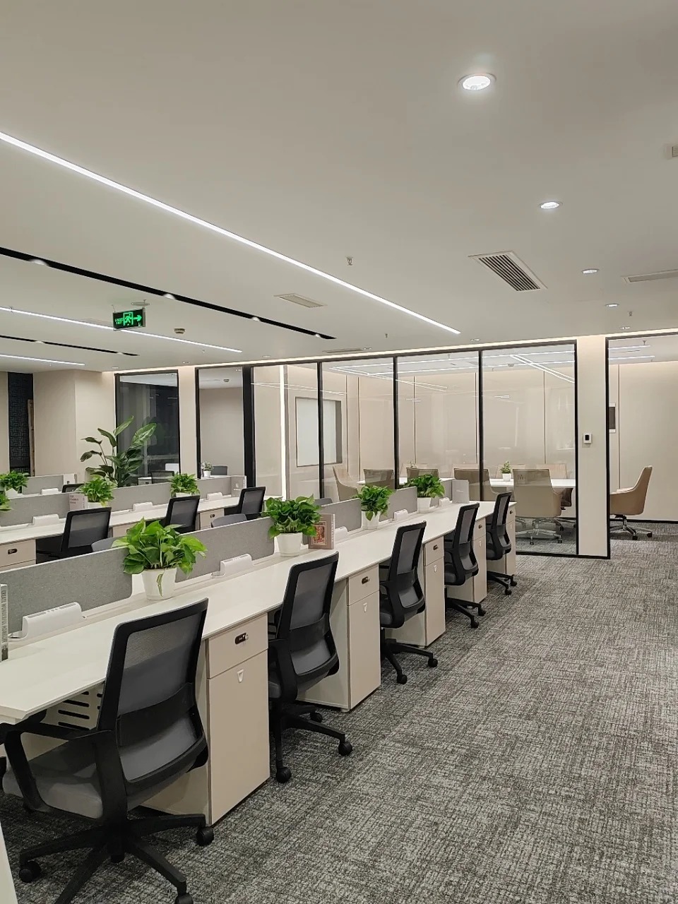 Hình ảnh bài viết