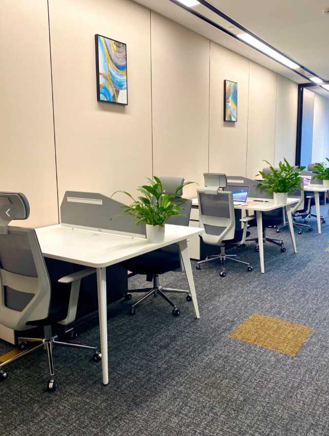 Hình ảnh bài viết