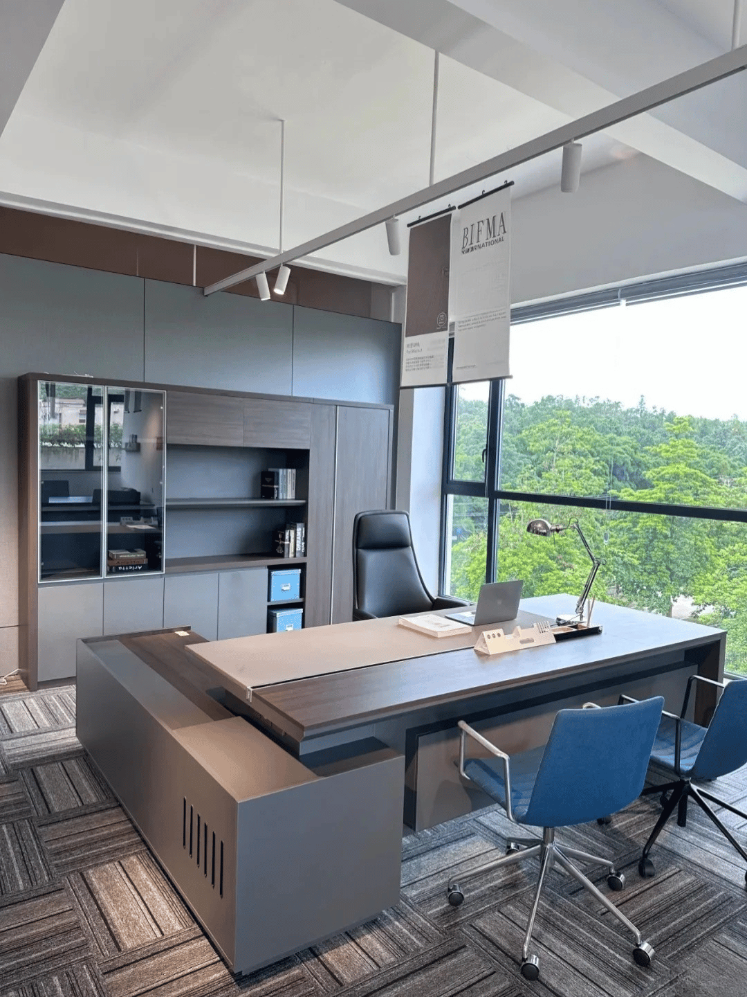 Hình ảnh bài viết