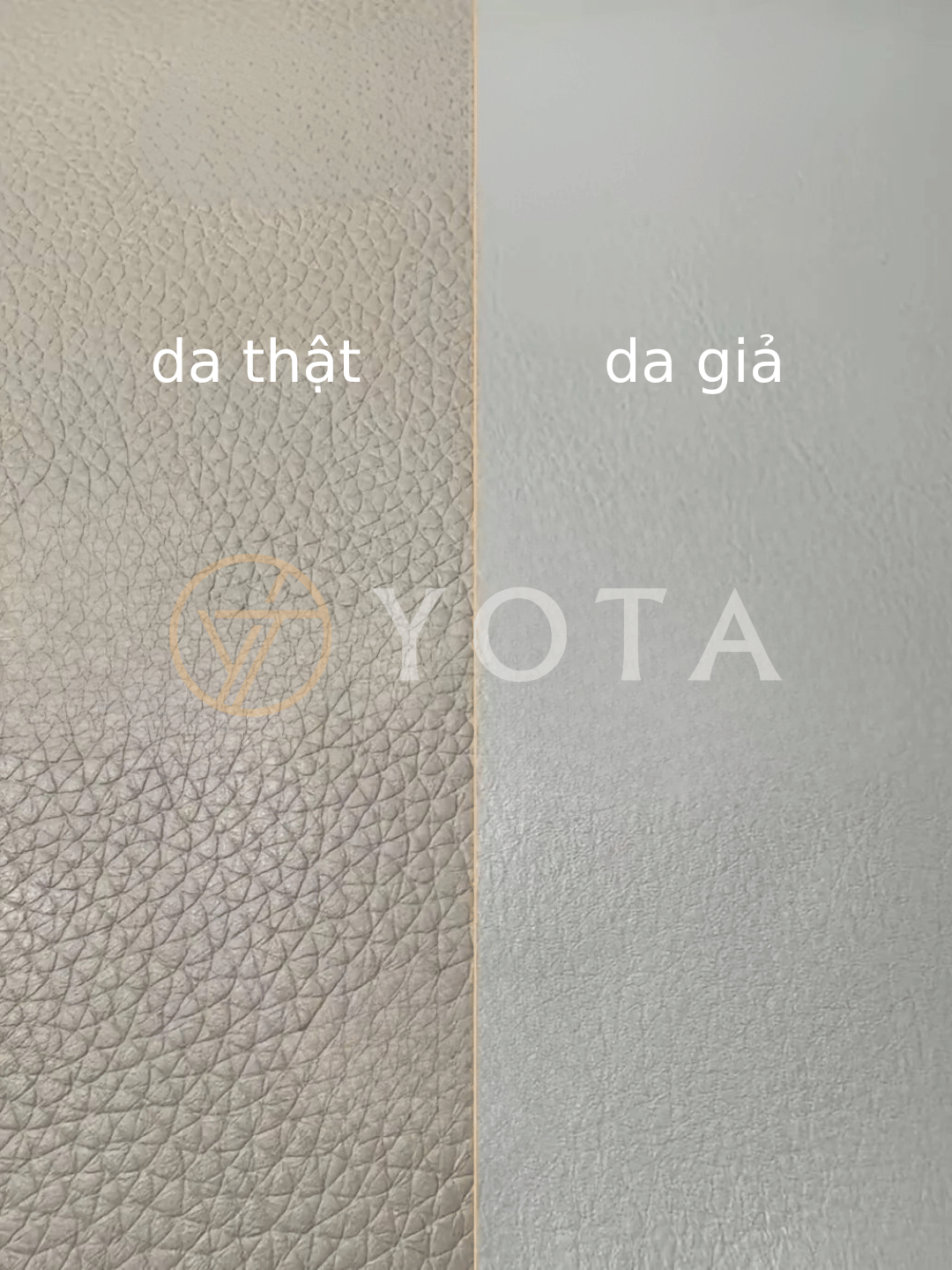 Hình ảnh bài viết