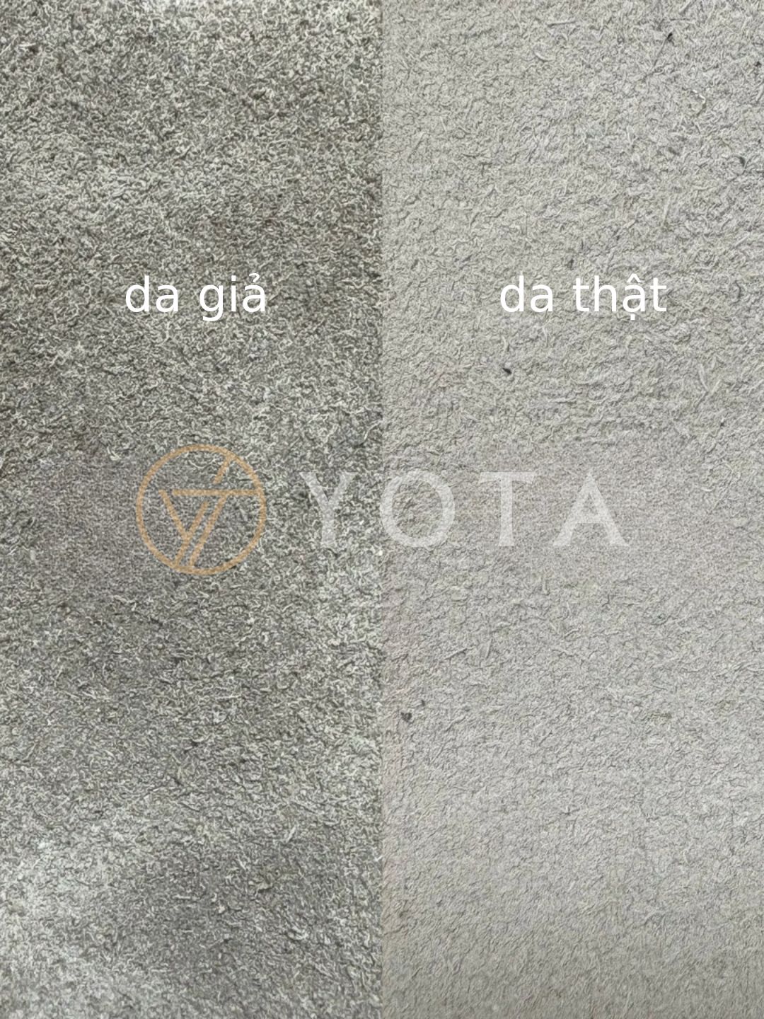 Hình ảnh bài viết