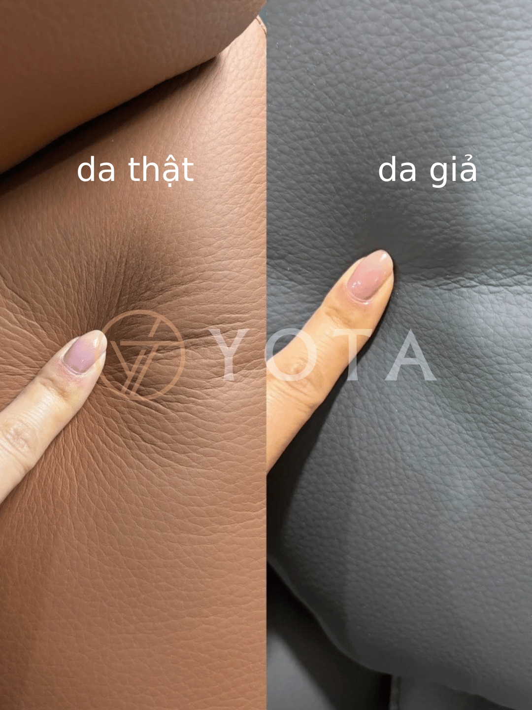 Hình ảnh bài viết