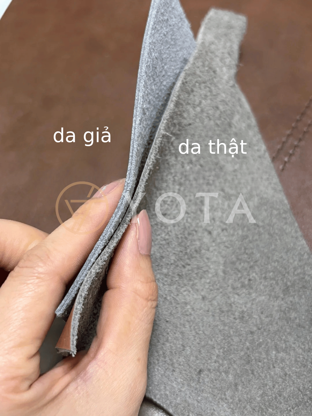 Hình ảnh bài viết