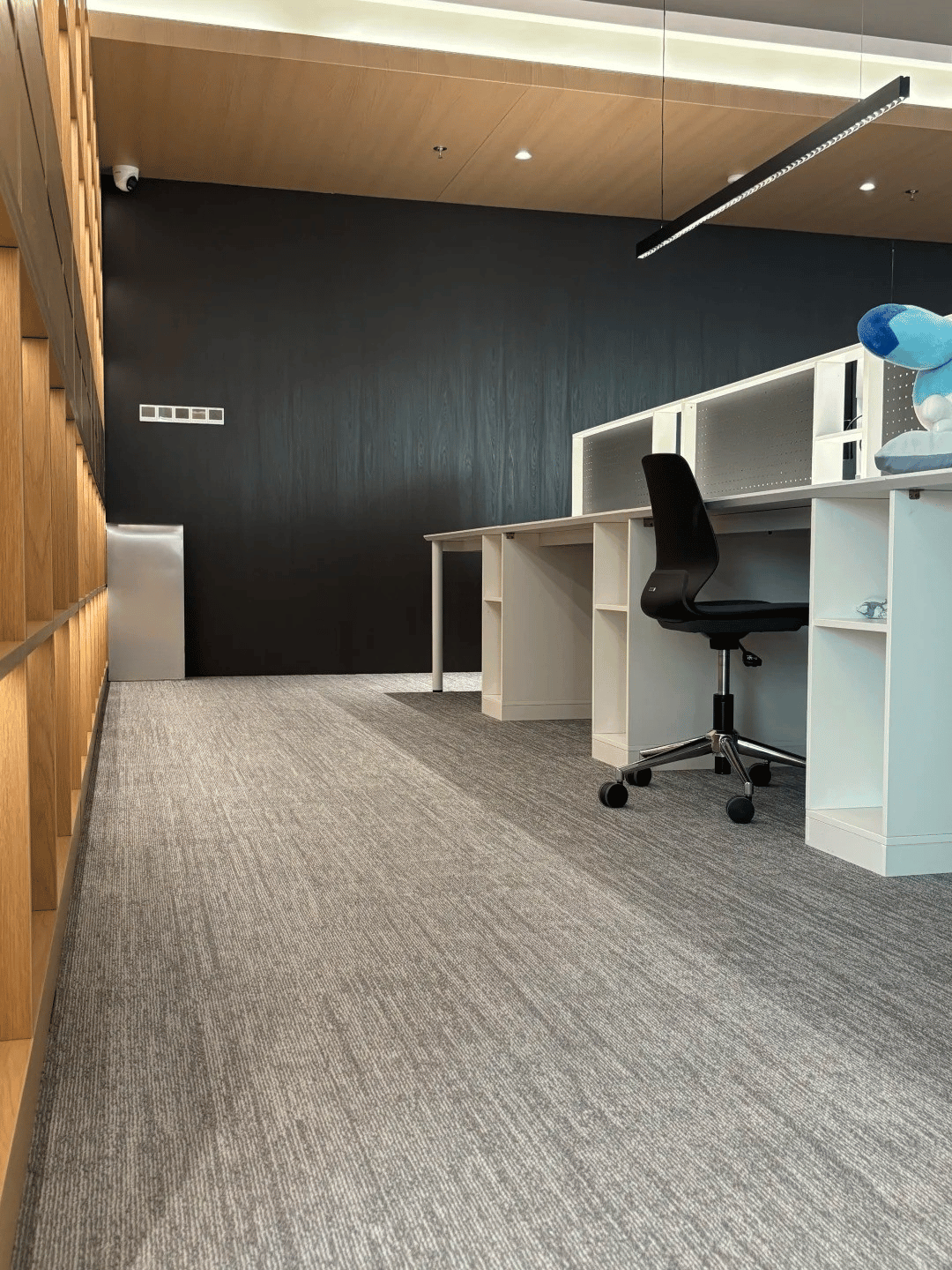 Hình ảnh bài viết