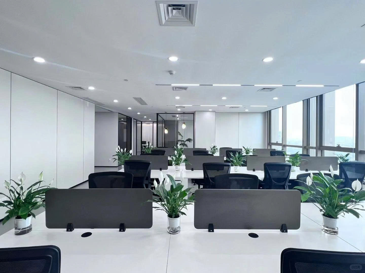 Hình ảnh bài viết