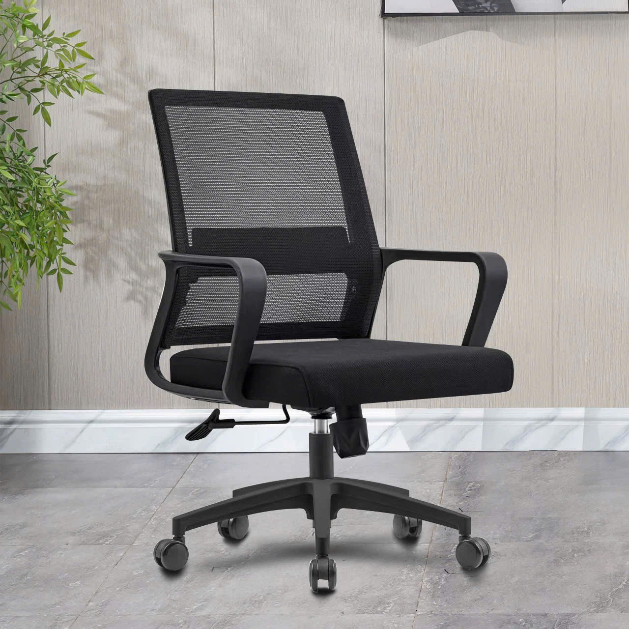 Hình ảnh bài viết