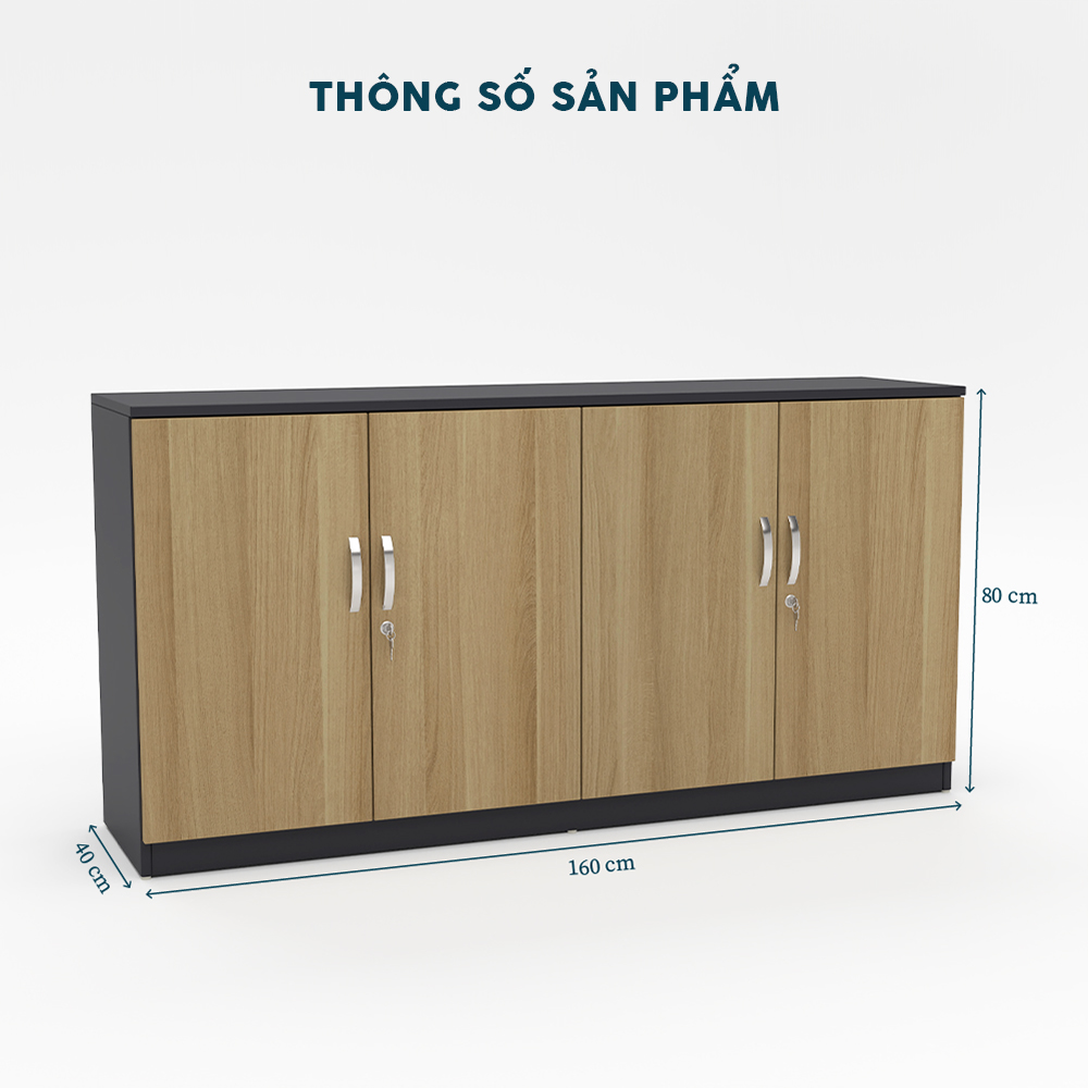 Tủ Hồ Sơ Thấp THSTY17